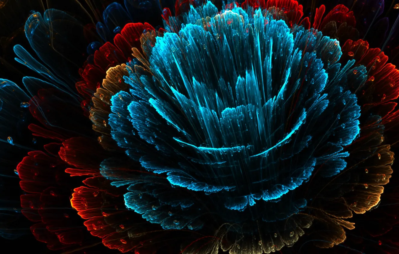 Photo wallpaper petals, red, flower, blue