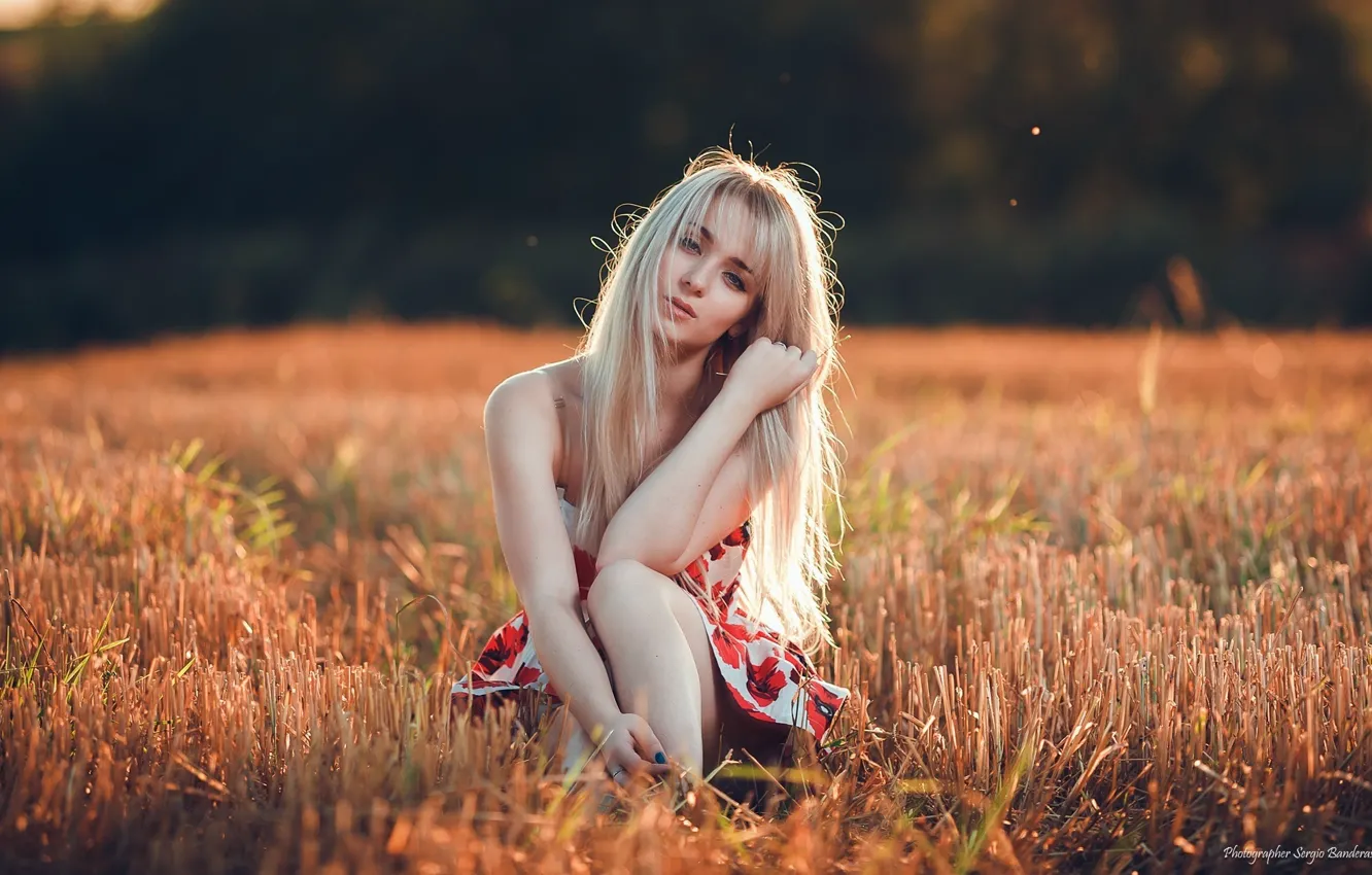 Photo wallpaper field, grass, girl, the sun, makeup, dress, hairstyle, blonde