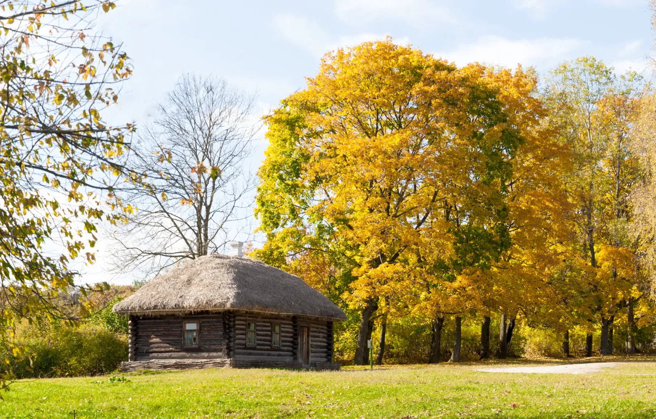 Photo wallpaper estate, coachman, Yasnaya Polyana