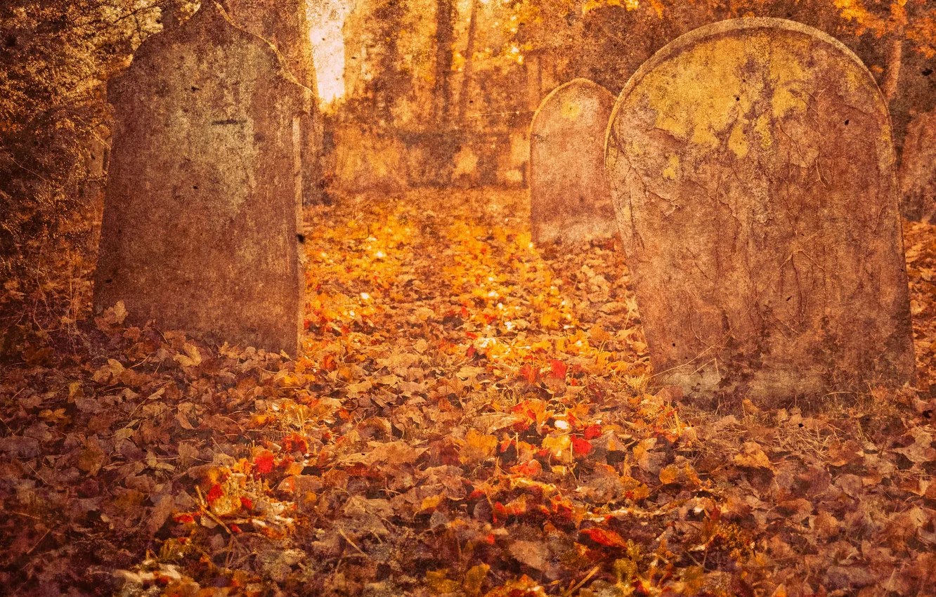 Photo wallpaper autumn, leaves, trees, foliage, cemetery