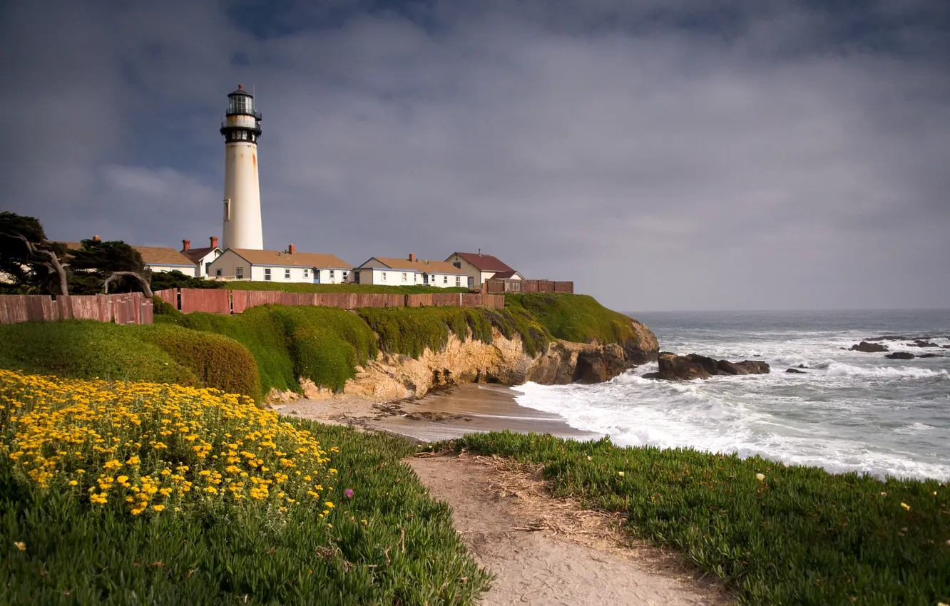 Photo wallpaper sea, grass, water, landscape, storm, the ocean, the wind, shore