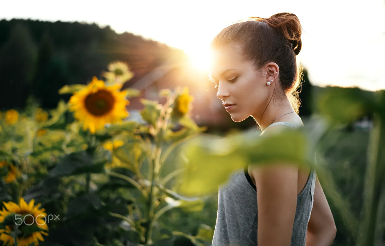 Photo wallpaper field, girl, light, sunflowers, the sun