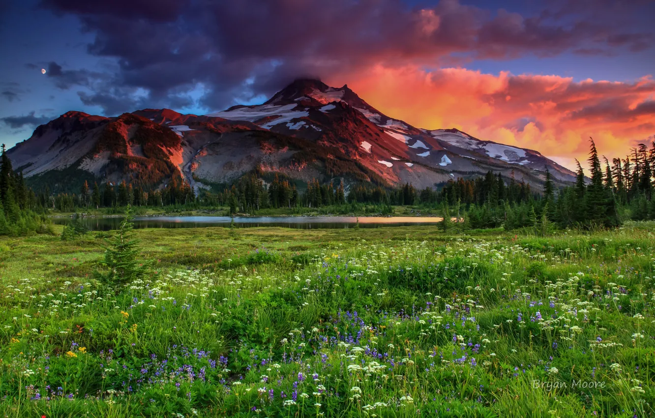 Photo wallpaper the sky, mountains, meadow, flowers.grass