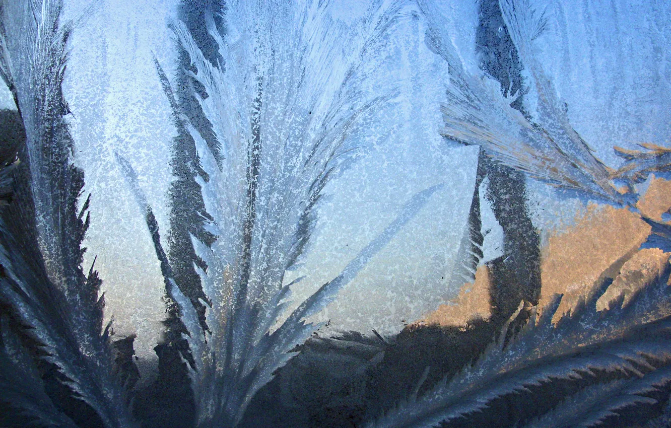 Photo wallpaper winter, glass, frost
