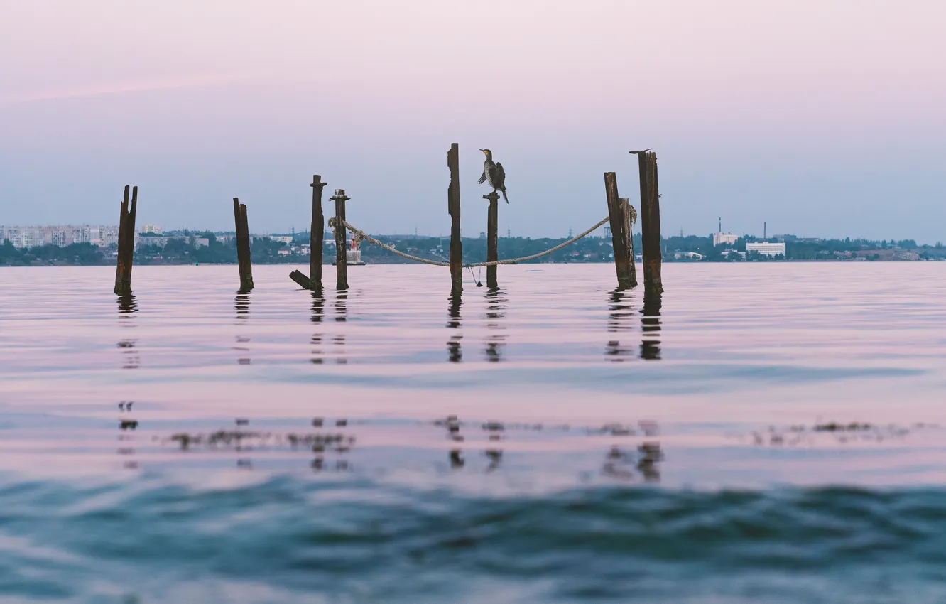 Photo wallpaper metal, sea, bird, sticks, poles