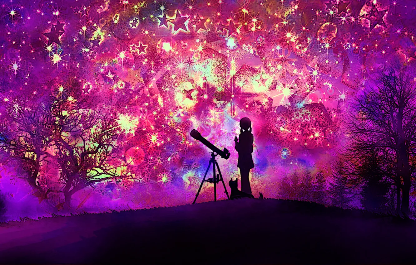Photo wallpaper cat, the sky, girl, night, abstraction, telescope