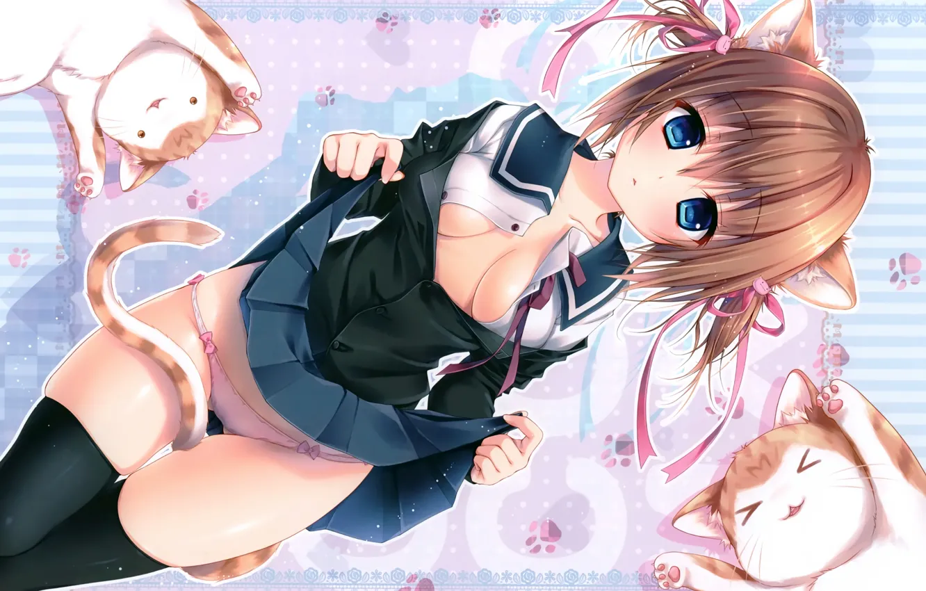 Photo wallpaper girl, sexy, lingerie, cleavage, school uniform, panties, thighhighs, legs