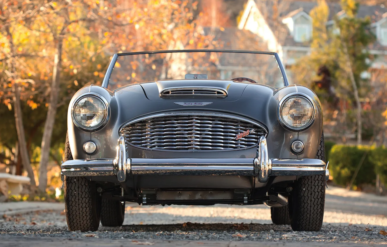 Photo wallpaper machine, lights, the front, 1959, Austin Healey, 3000