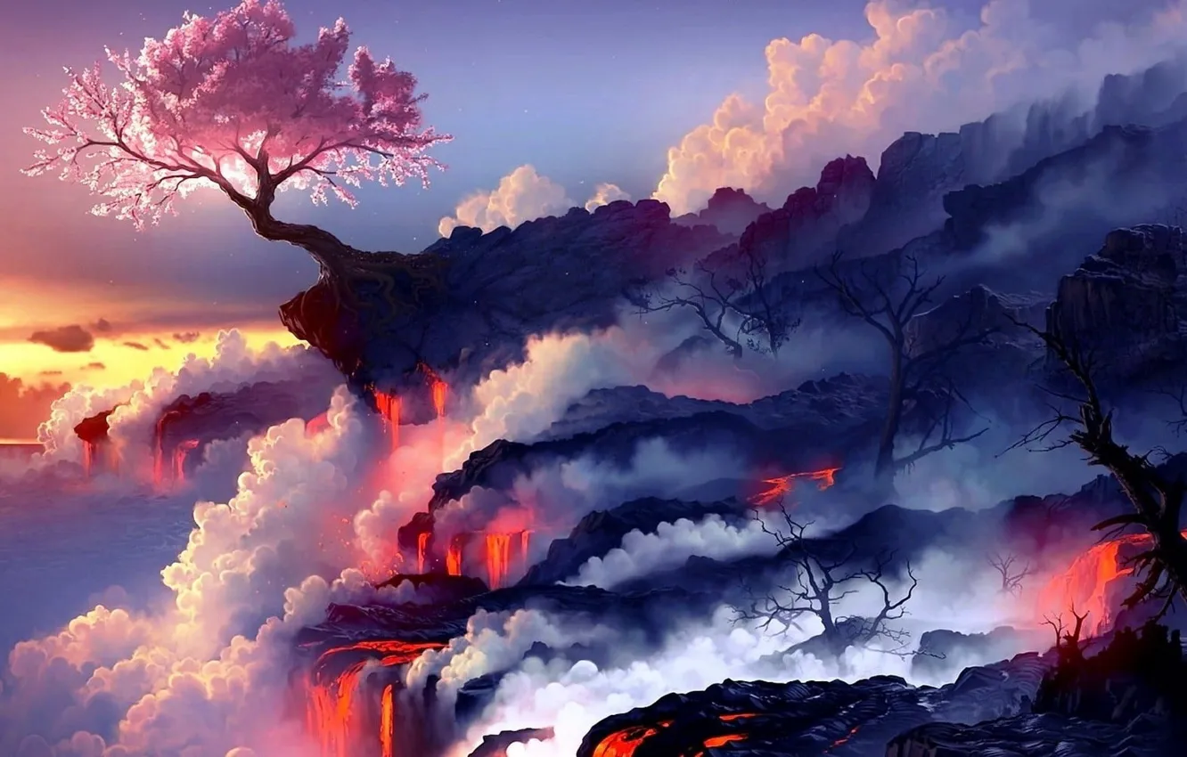 Photo wallpaper cherry blossom, hd wallpaper, digital wallpaper, cherry blossom tree on cliff, on cliff mountain