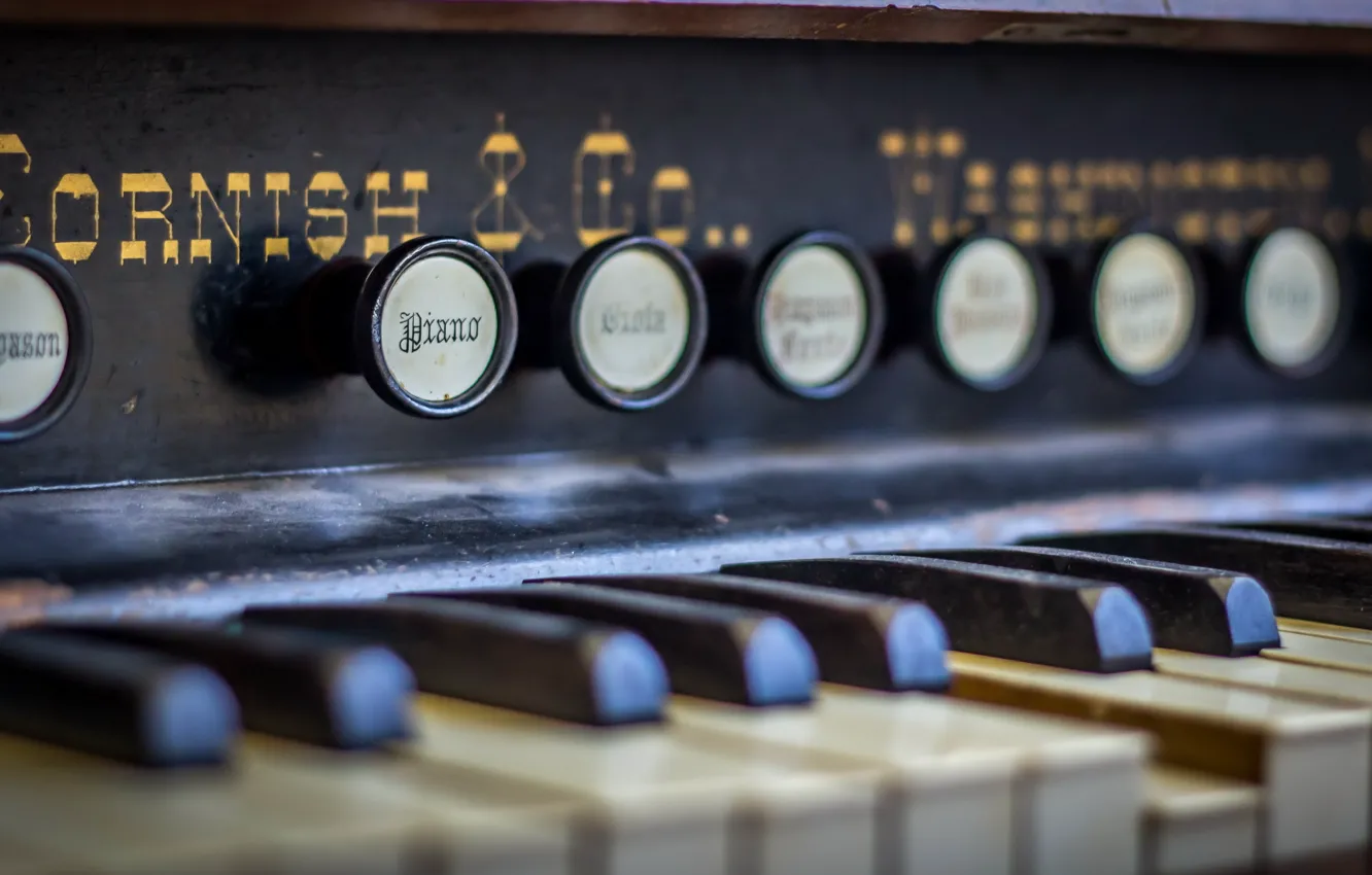 Photo wallpaper music, background, body