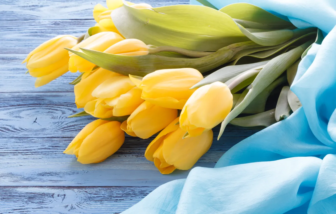 Photo wallpaper yellow, table, blue, bouquet, tulips, fabric, Andrey Cherkasov