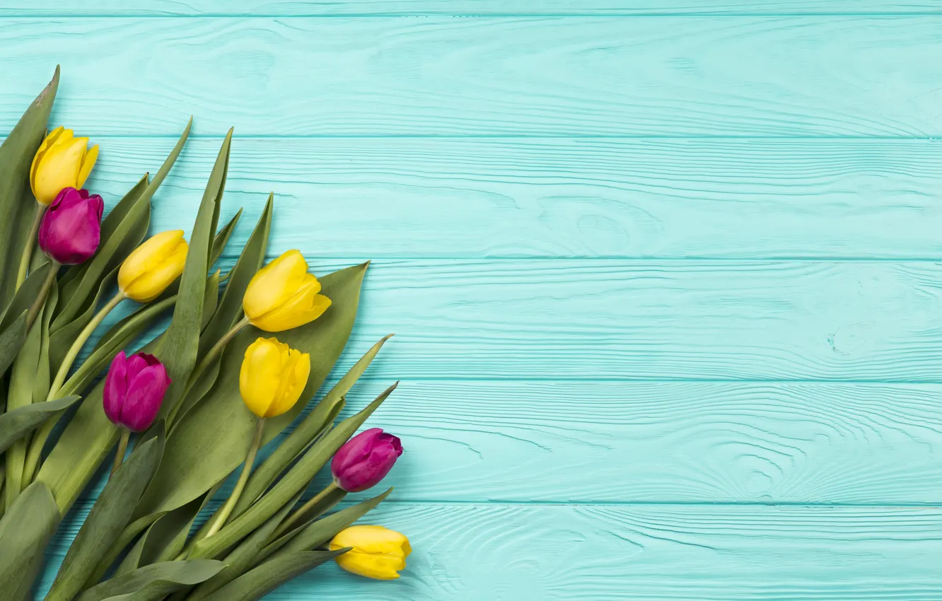 Photo wallpaper flowers, bouquet, colorful, tulips, yellow, wood, flowers, blue background