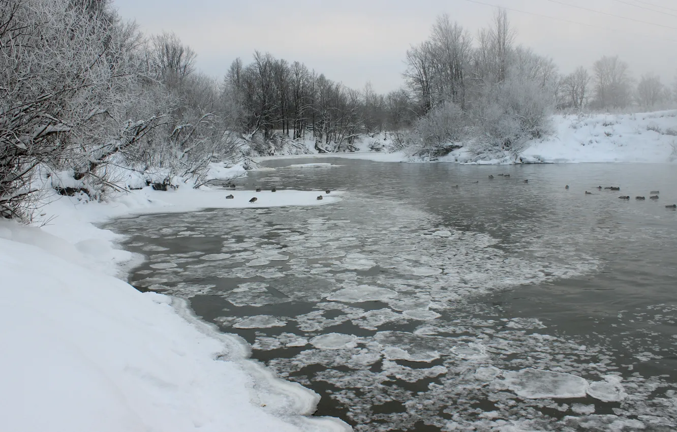 Photo wallpaper ice, snow, river, duck, frost, Yoshkar-Ola, Kokshaga