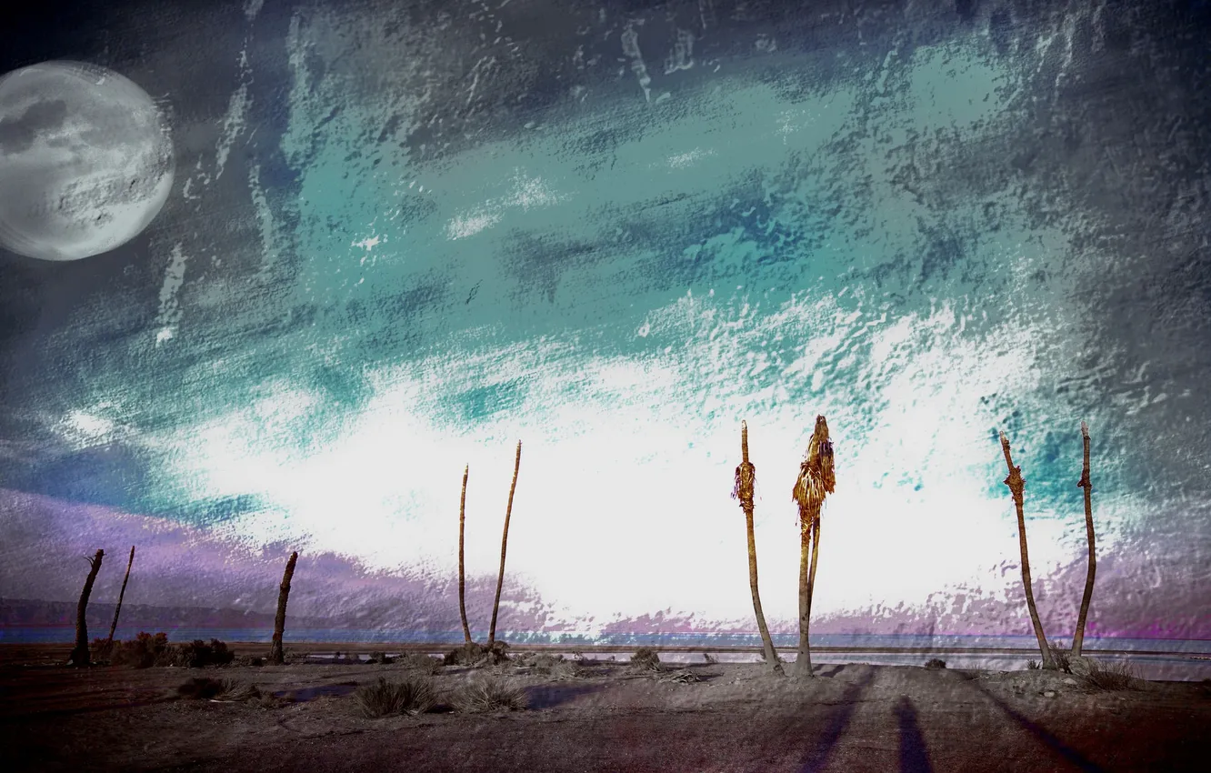 Photo wallpaper the sky, the moon, Dead Palms