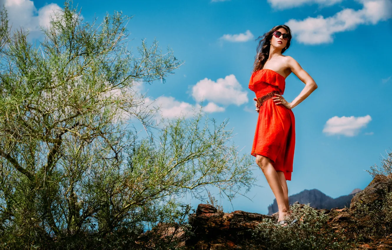 Photo wallpaper girl, pose, background