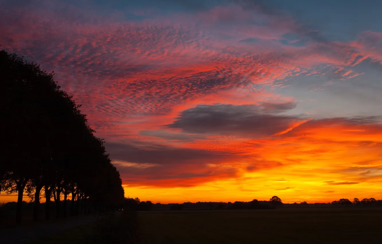 Photo wallpaper the sky, night, nature