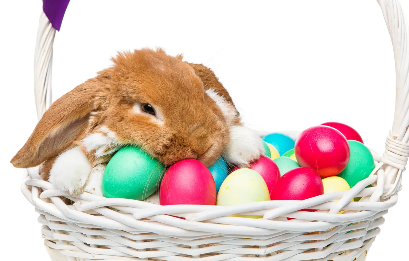 Photo wallpaper basket, rabbit, Easter, happy, rabbit, spring, Easter, eggs