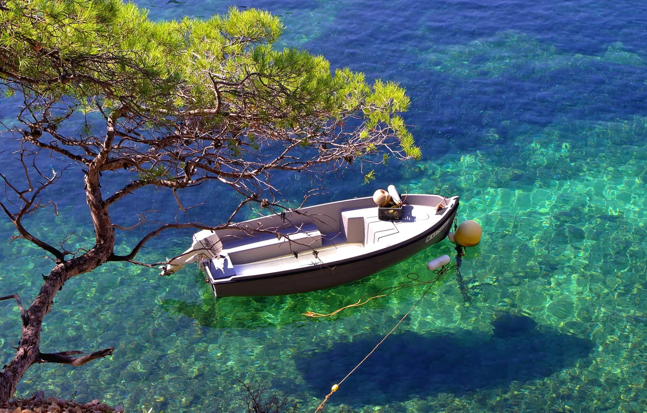 Photo wallpaper water, transparency, tree, boat, shadow, Bay