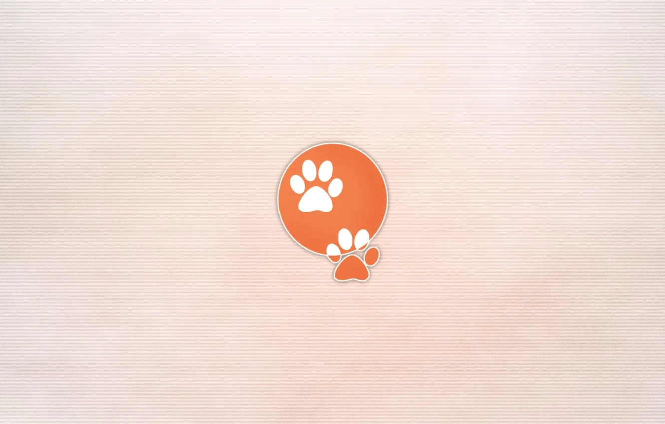 Photo wallpaper traces, legs, minimalism, 1920x1200, prints, paws, Minimalism