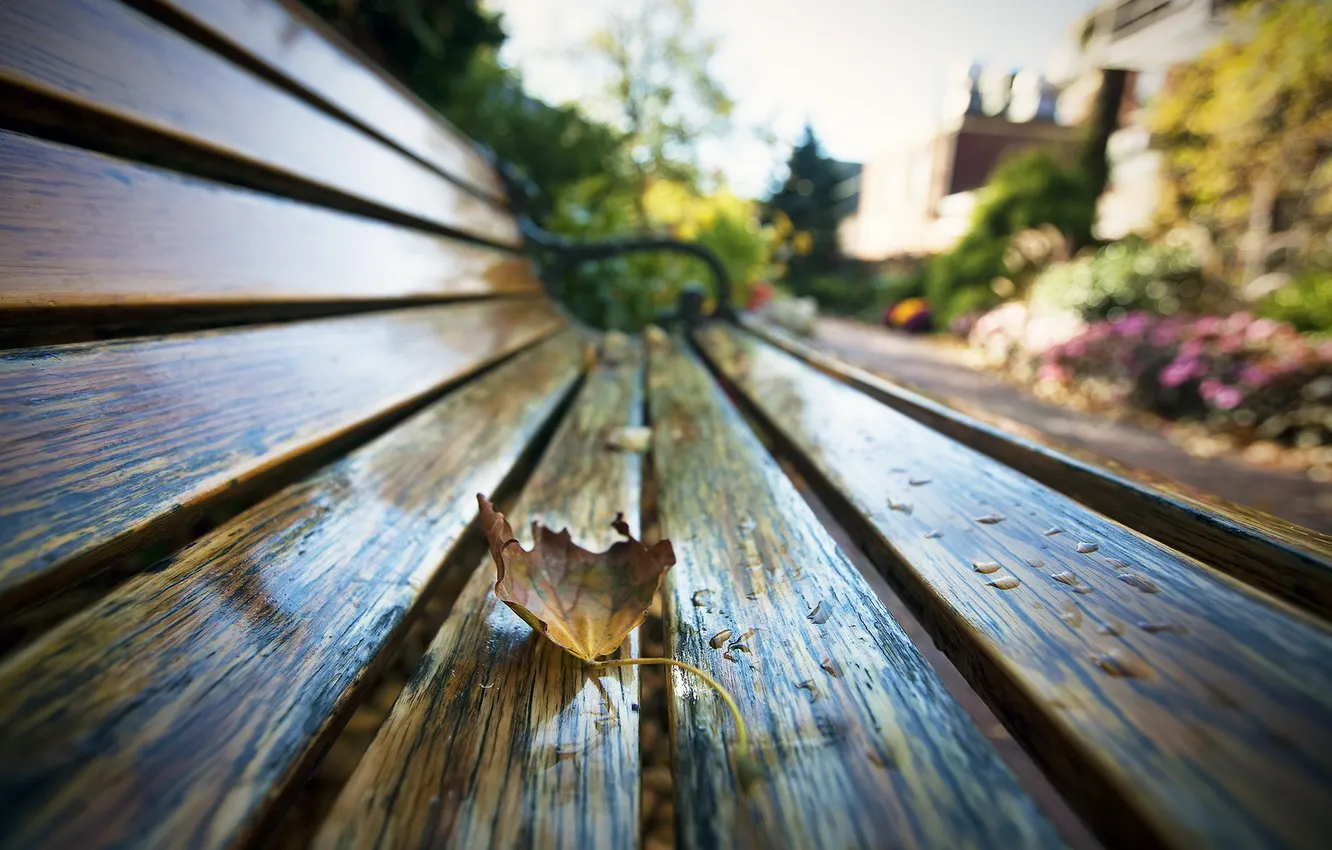 Photo wallpaper autumn, leaves, bench