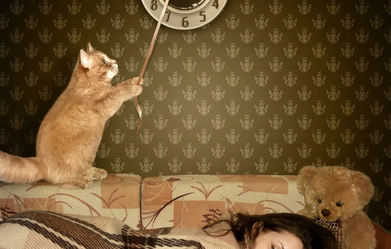 Photo wallpaper cat, girl, Wallpaper, watch, bear, sleeping, bear, cat