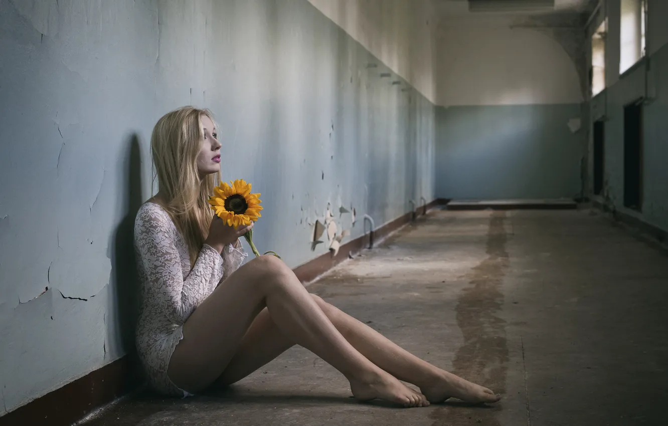 Photo wallpaper girl, sunflowers, blonde, legs
