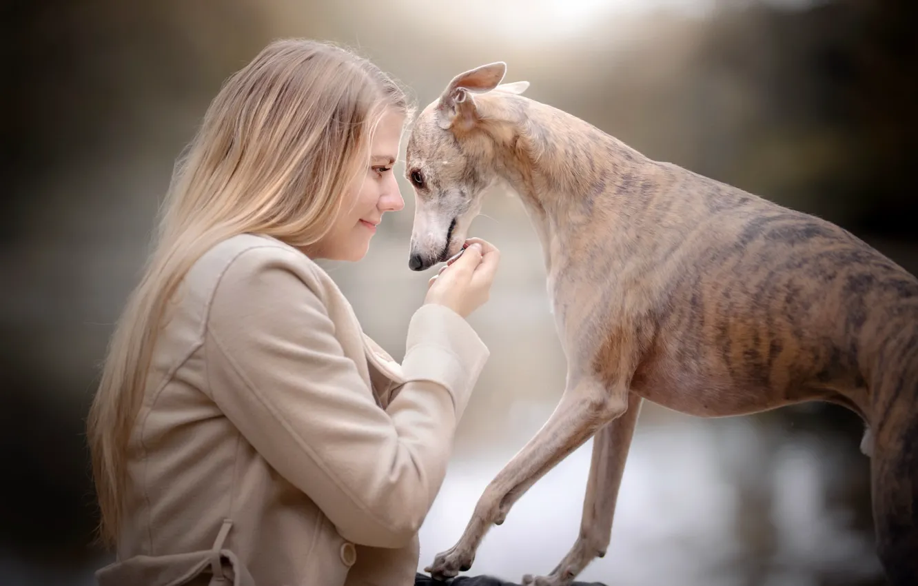 Photo wallpaper girl, mood, dog