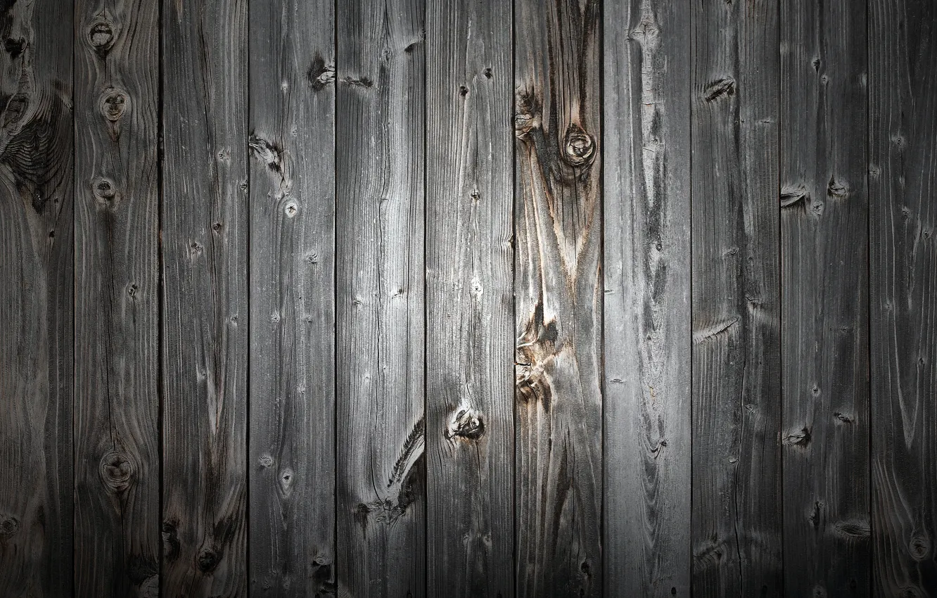 Photo wallpaper tree, the door, the barn