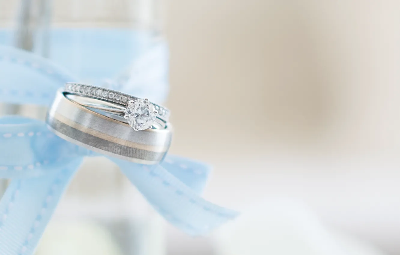 Photo wallpaper ring, tape, bow