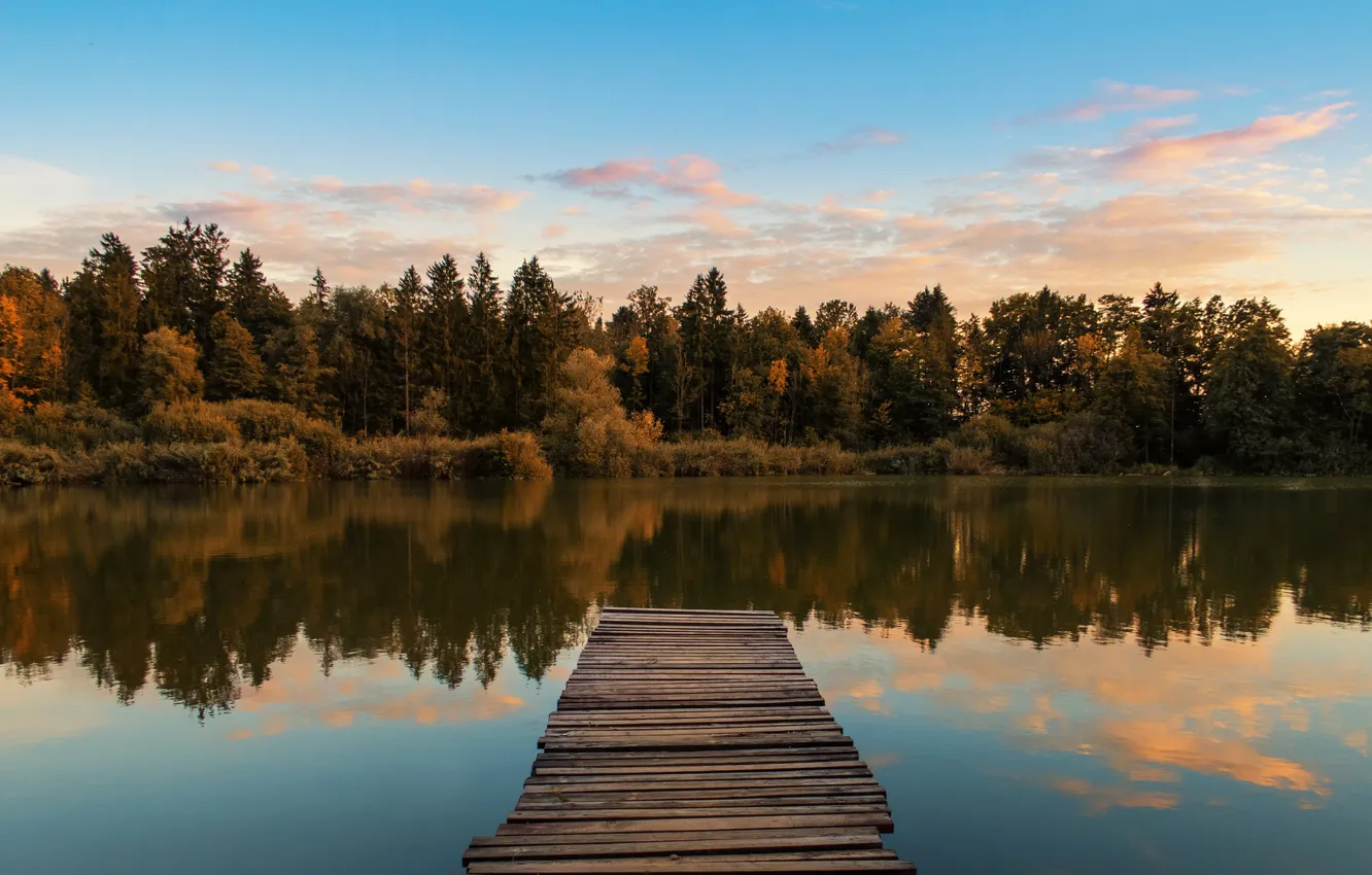 Photo wallpaper trees, wood, water, autumn, lake, morning, sunrise, dawn