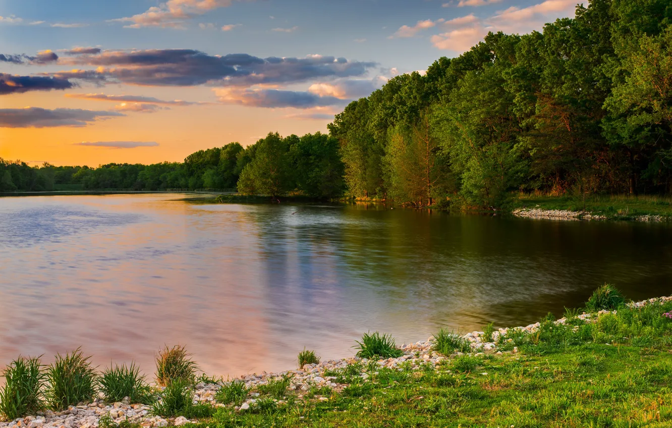 Photo wallpaper forest, summer, grass, trees, shore, pond