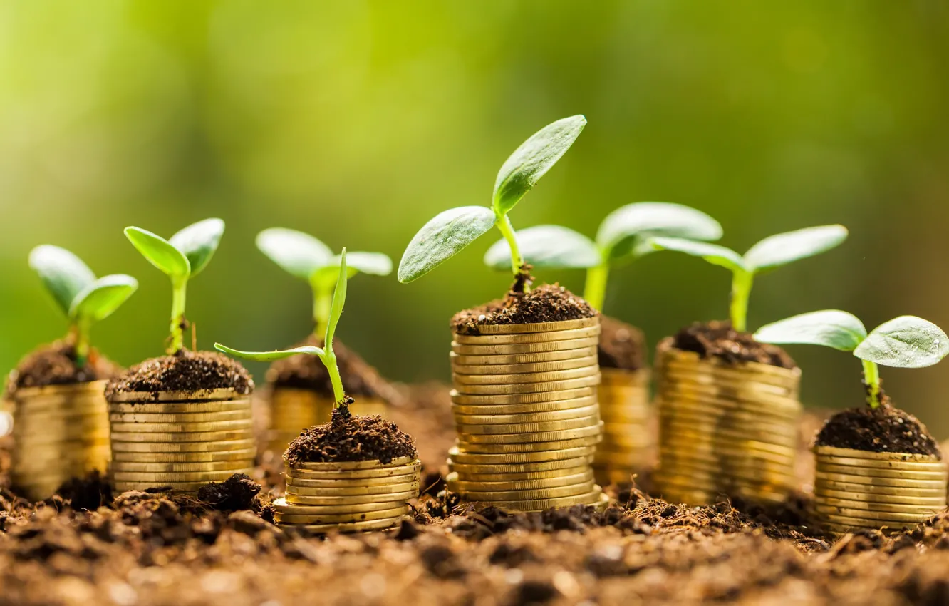 Photo wallpaper greens, nature, coins