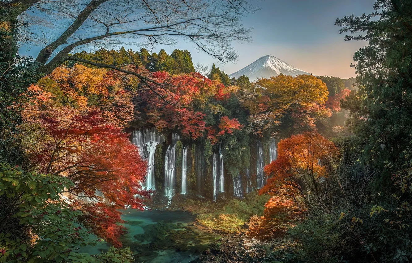Photo wallpaper autumn, leaves, trees, branches, the evening, Japan, Japan, waterfalls