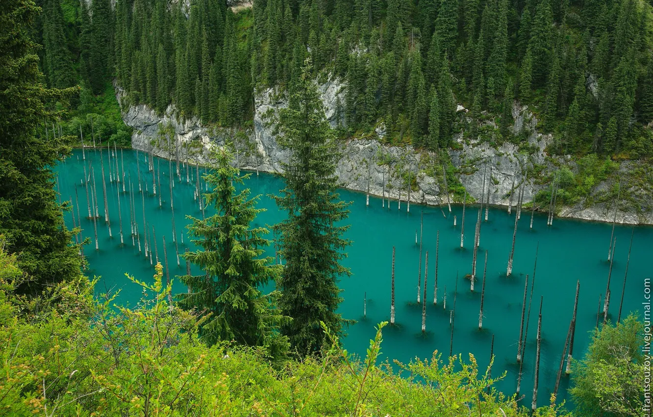 Photo wallpaper Kazakhstan, Kolsay lakes, lake Kaindy, drowned forest