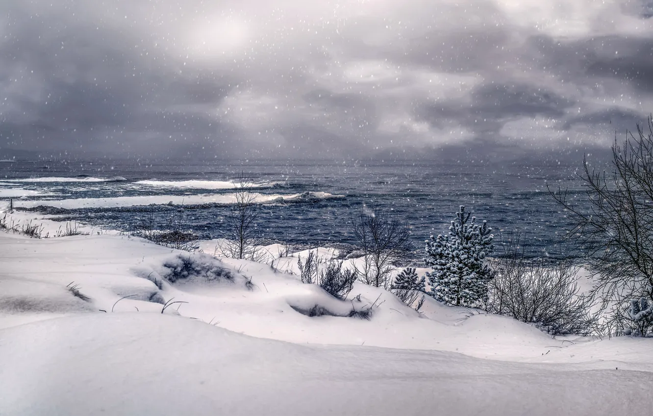 Photo wallpaper winter, snow, lake, pine