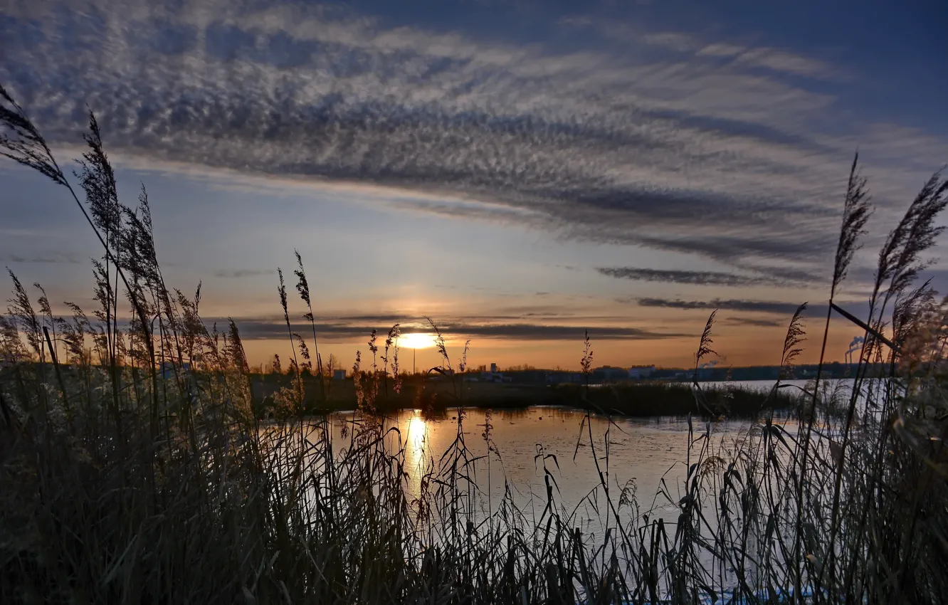 Photo wallpaper the sun, clouds, lake, dawn, cattail