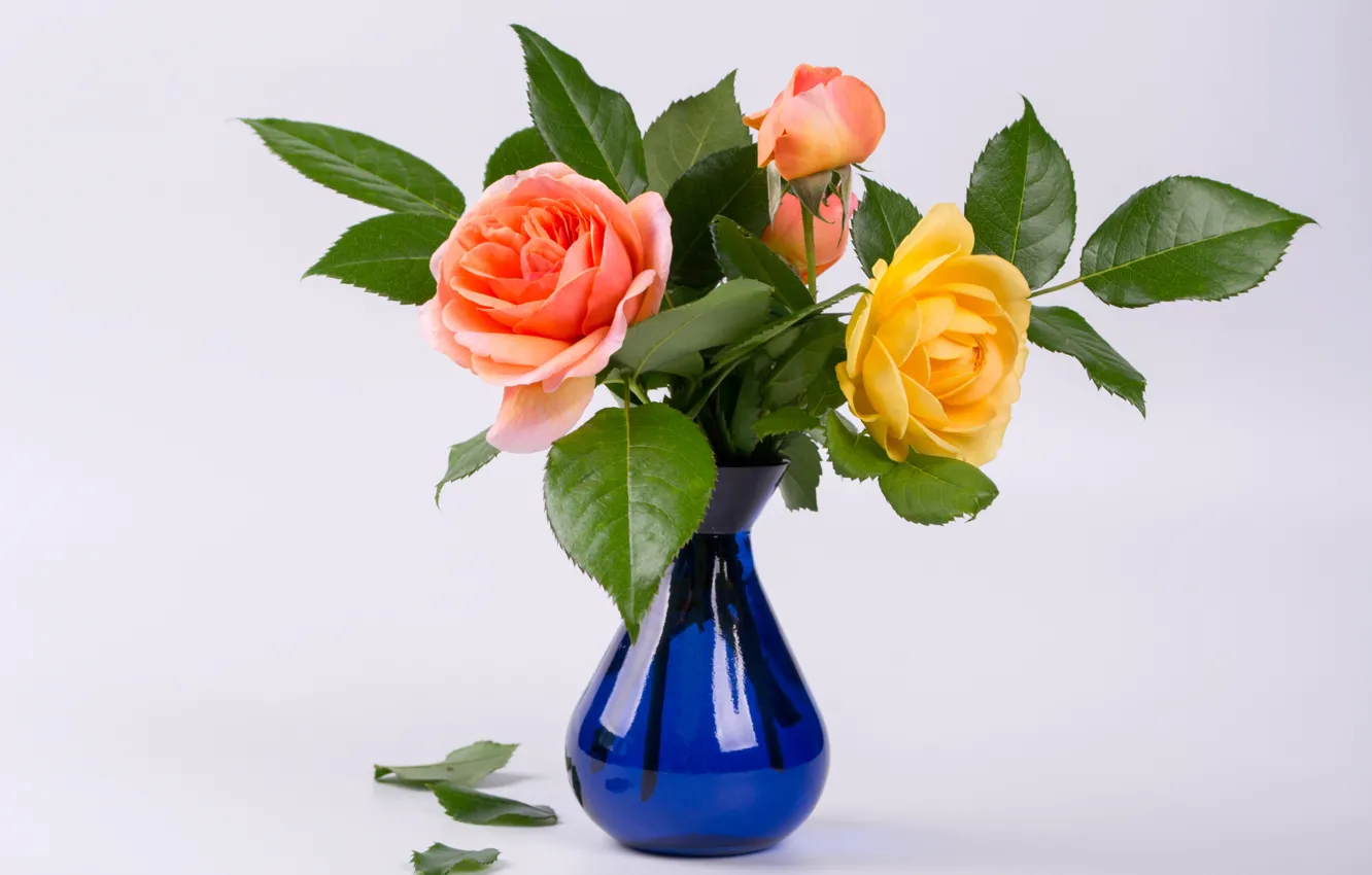 Photo wallpaper yellow, roses, vase
