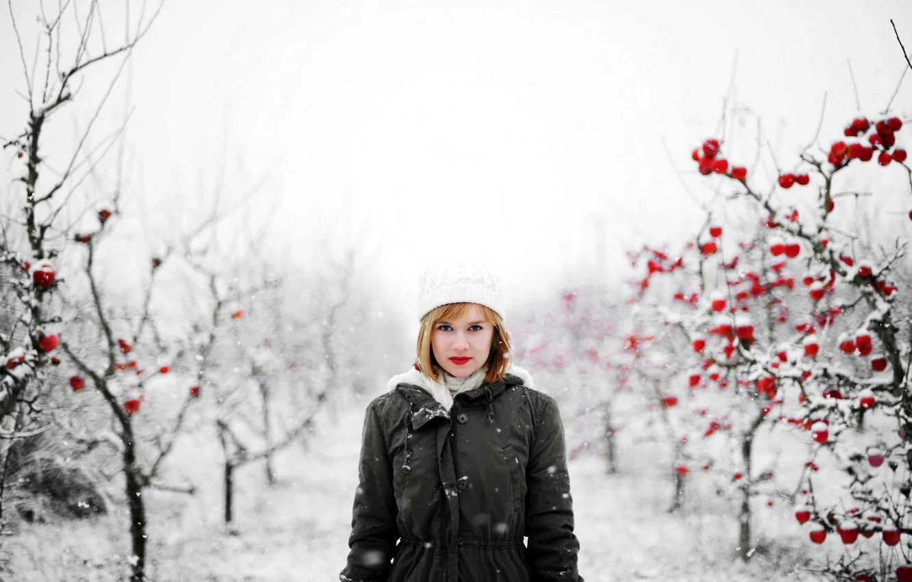 Photo wallpaper girl, snow, nature, background, apples, Apple
