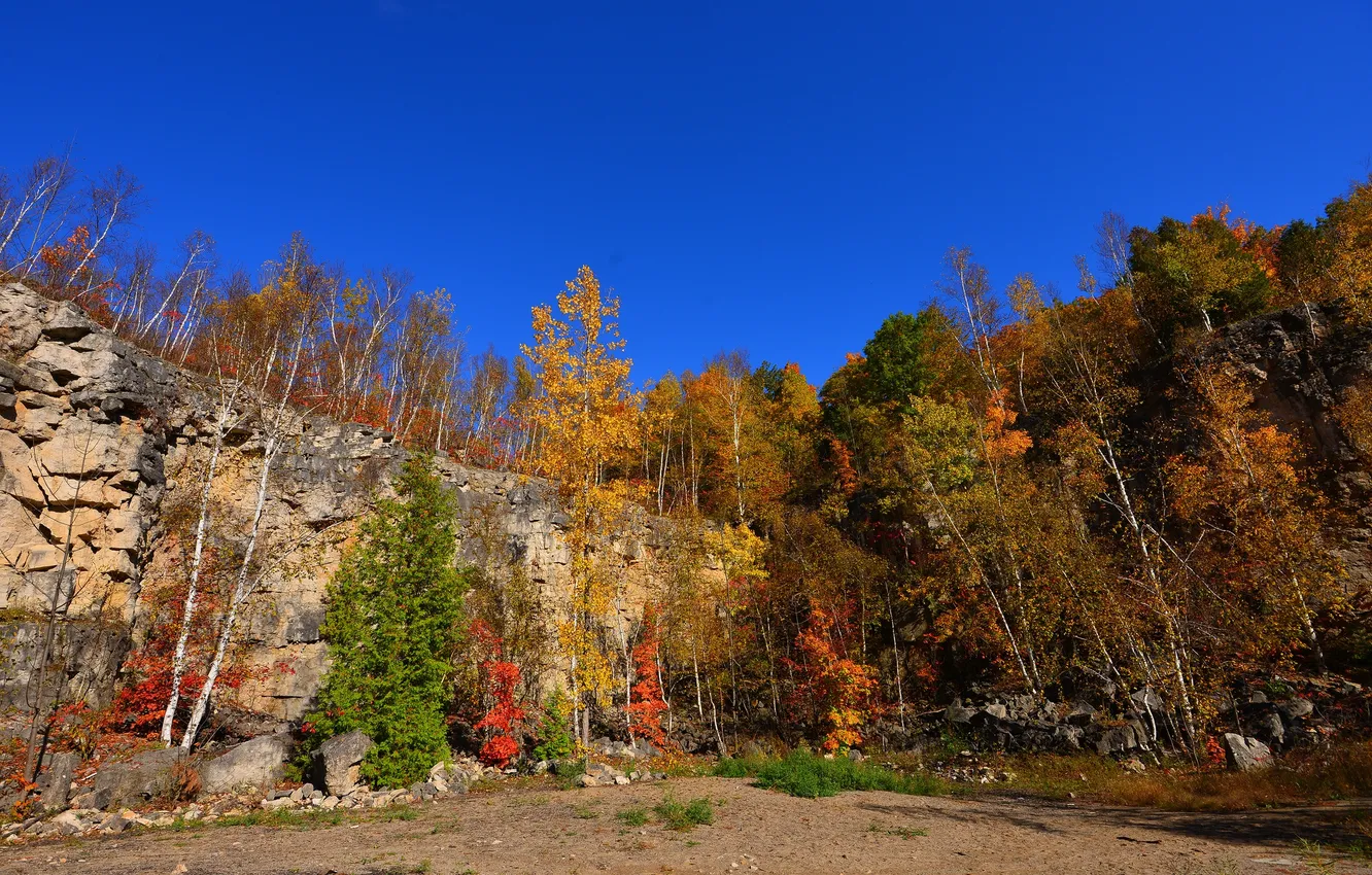 Photo wallpaper the sky, trees, stones, rocks