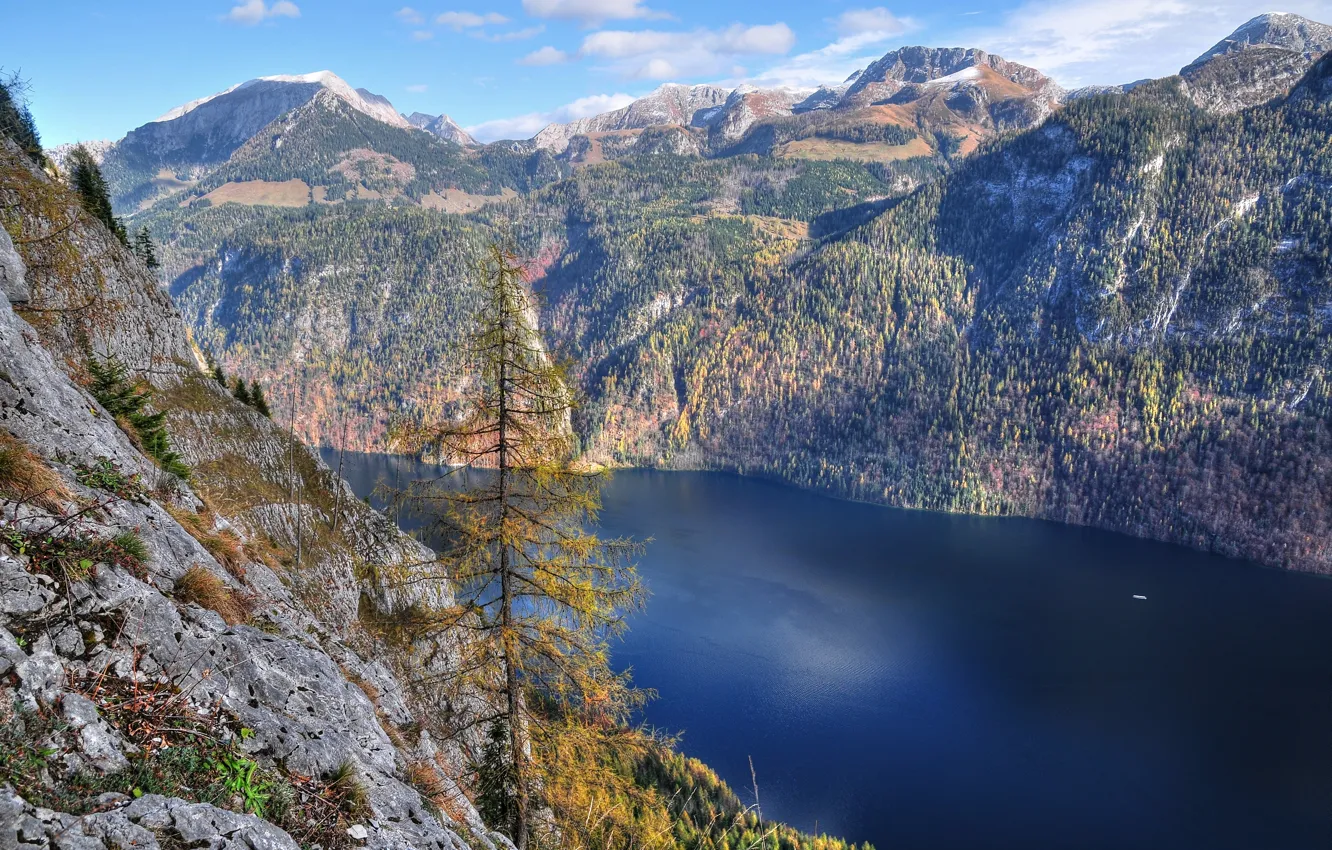 Photo wallpaper landscape, mountains, lake, tree, slope, the fjord