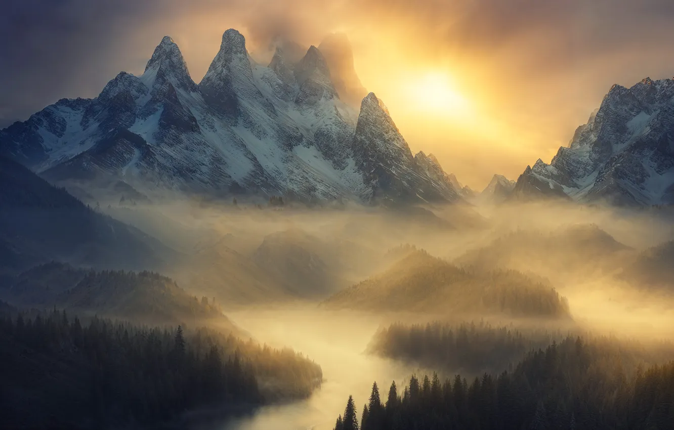 Photo wallpaper forest, clouds, snow, mountains, nature, fog, river, shore