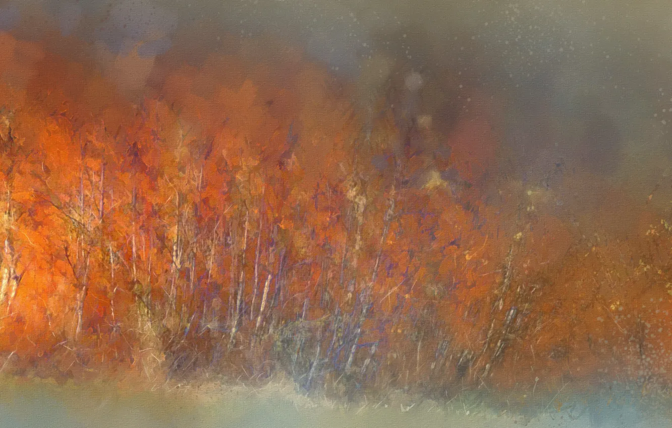 Photo wallpaper autumn, nature, texture