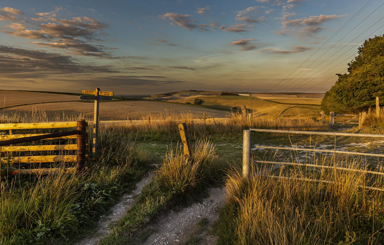 Photo wallpaper road, field, grass, clouds, light, sunset, posts, the fence