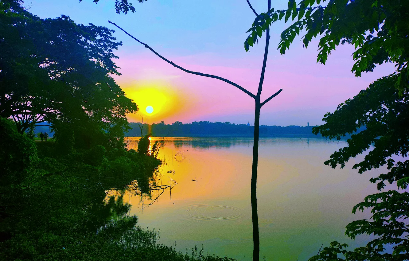 Photo wallpaper sky, trees, water, lake, morning, sun, sunrise, dawn