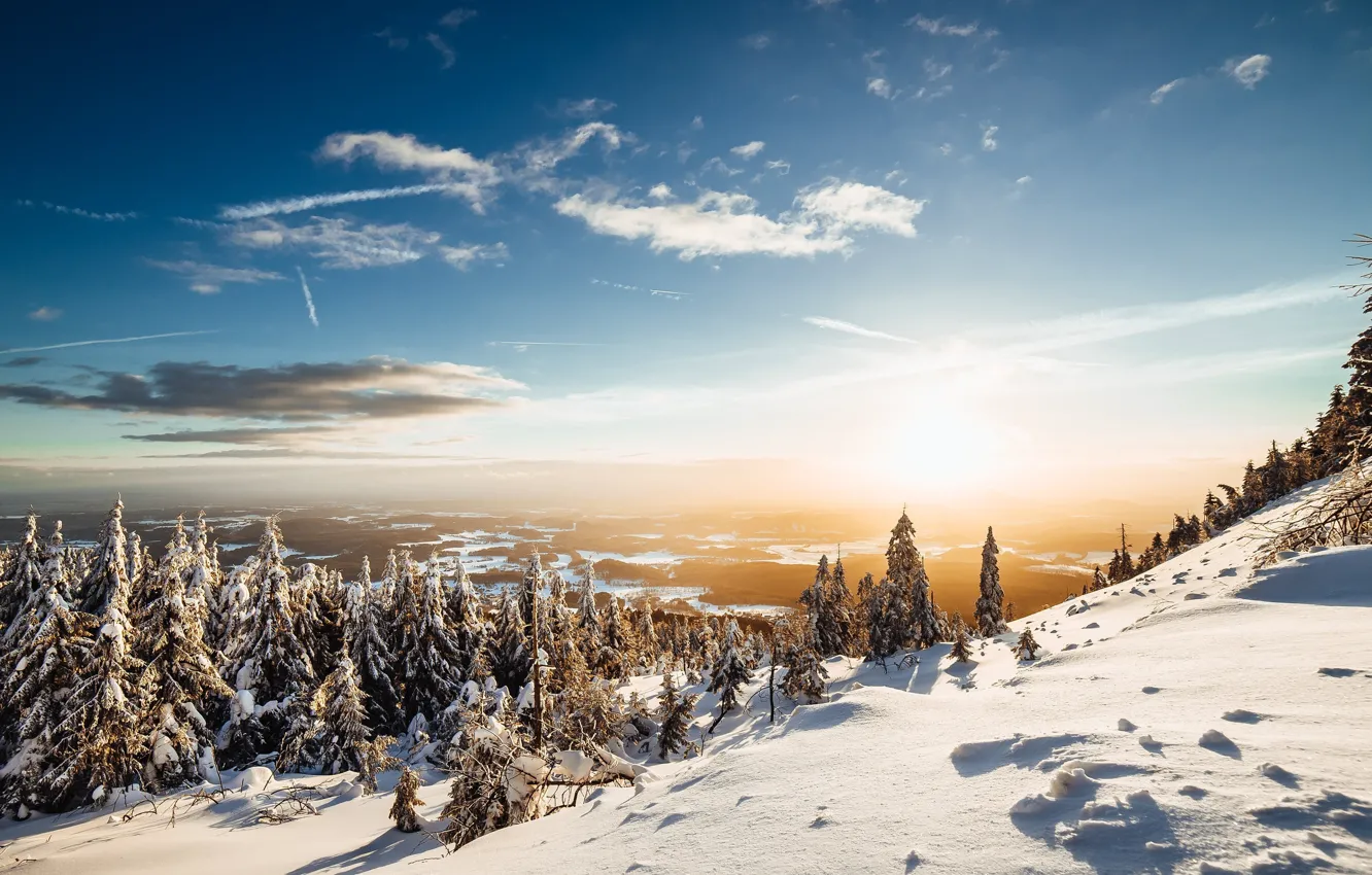Photo wallpaper winter, forest, the sky, the sun, snow, landscape, nature, mountain