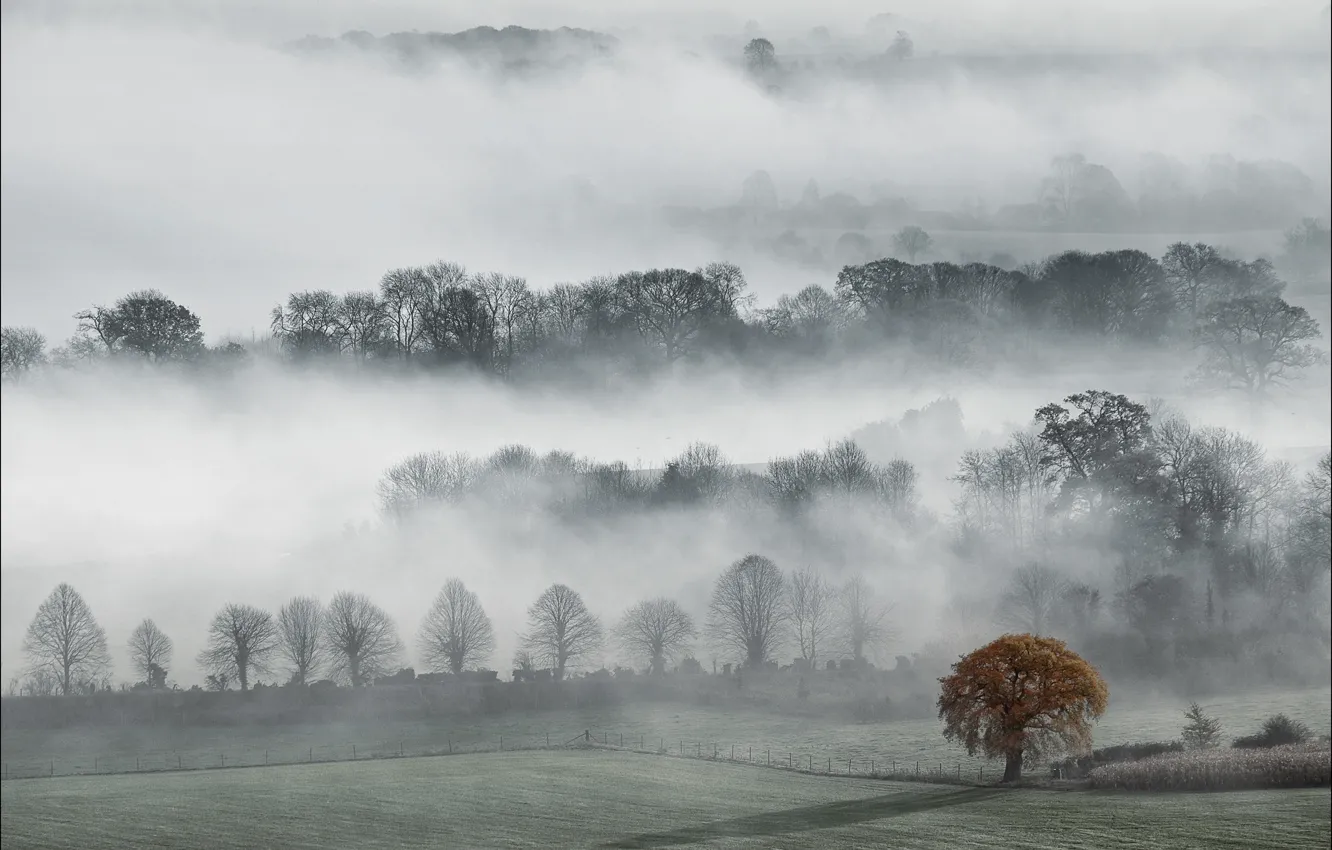 Photo wallpaper autumn, fog, England, County, Wiltshire, Valley Of Pewsey