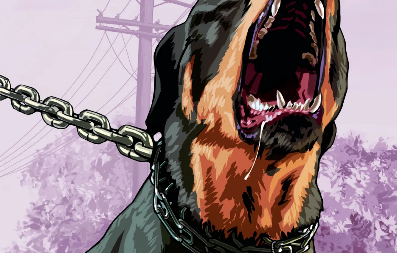 Photo wallpaper dog, grin, Rockstar, Rottweiler, Grand Theft Auto, gta 5, Chop, Rottweiler