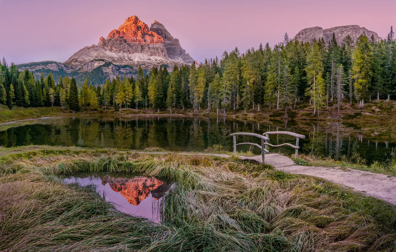 Photo wallpaper forest, grass, light, mountains, lake, reflection, shore, tops