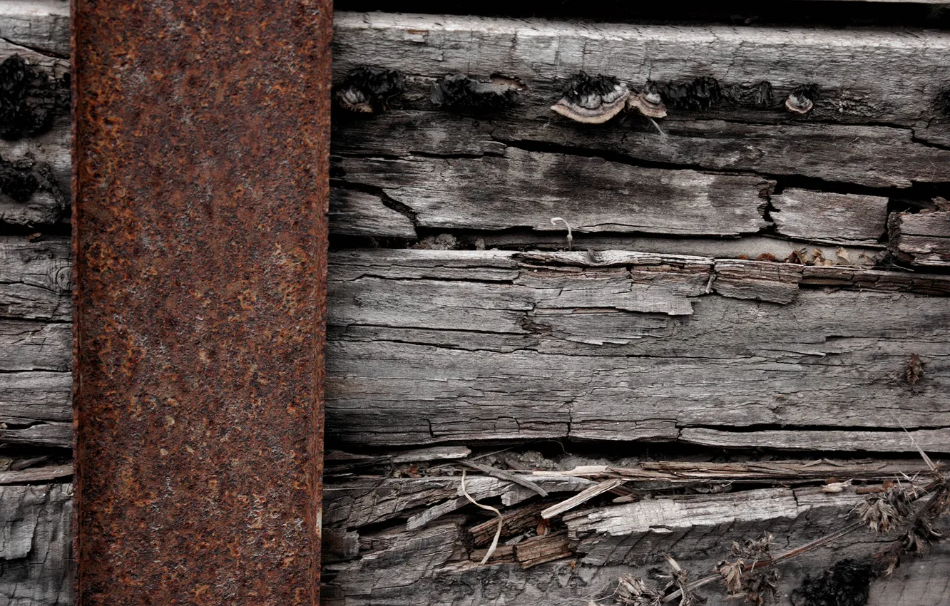 Photo wallpaper metal, wood, oxide