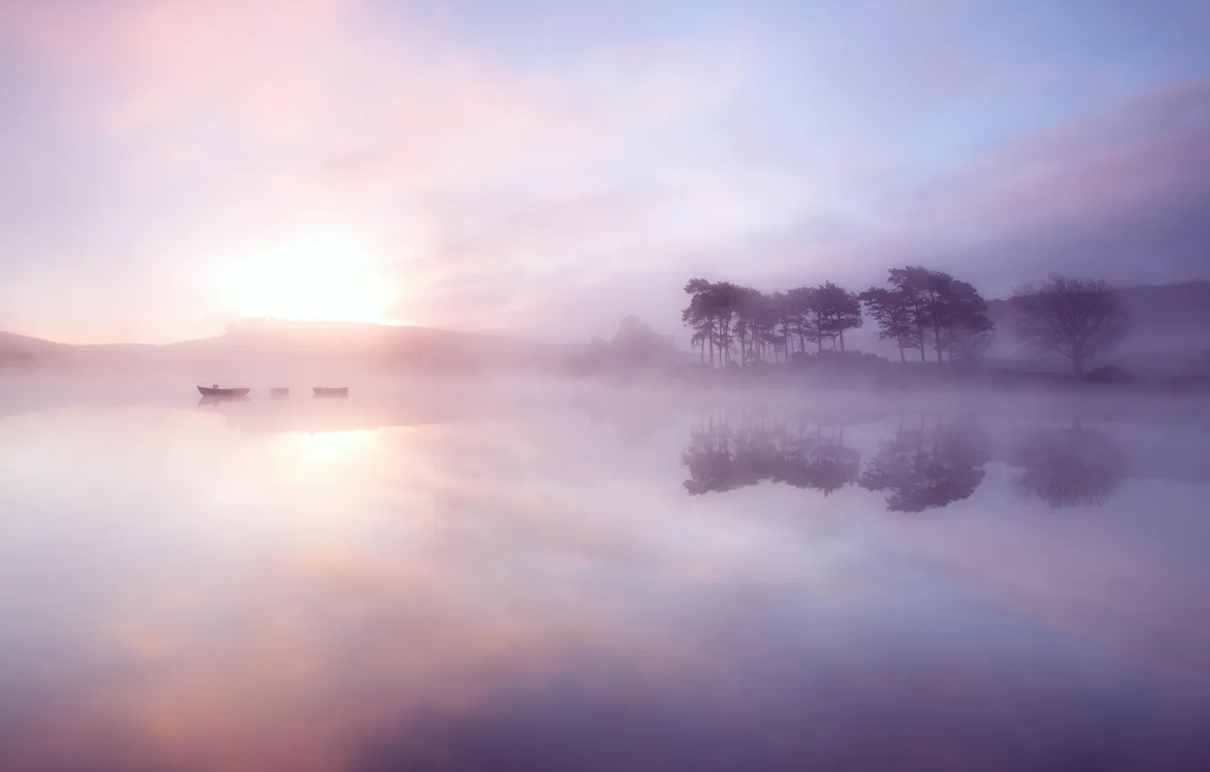 Photo wallpaper forest, the sky, clouds, trees, landscape, nature, fog, lake